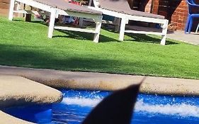 Casa de totys en la Serena